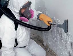 Best Comprehensive Air Testing for Mold Contaminants  in Huron, OH